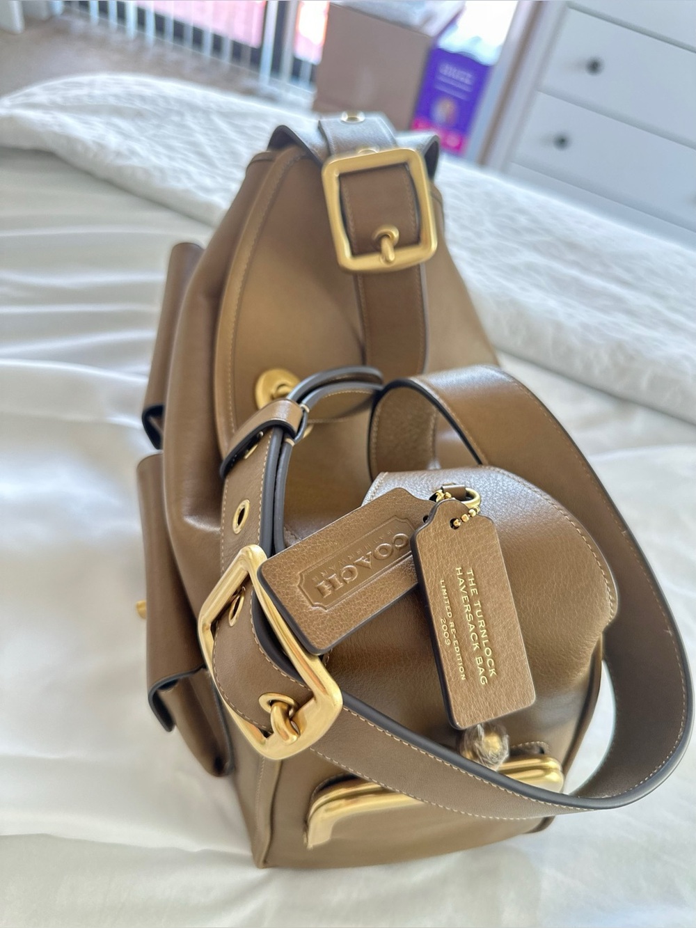 Coach Haversack Muted Olive - Picture 13 of 15